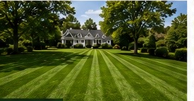 Freshly mown striped lawn